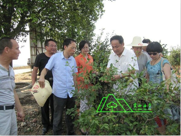 江西省油茶辦主任、工程師孫勇、省科技廳農(nóng)村工作處副處長(zhǎng)、副調(diào)研員尹伊等基地指導(dǎo)工作