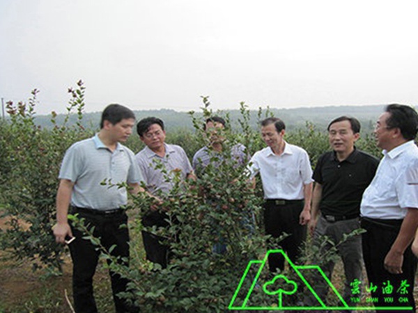 林業(yè)廳科技處處長(zhǎng)、省林科院黨委副書記研究院初來(lái)我油茶基地調(diào)研指導(dǎo)工作